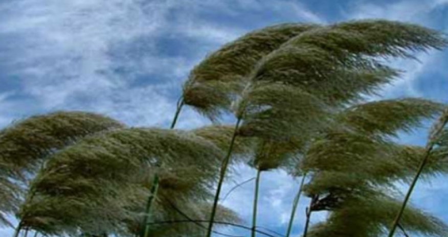 Baku weather forecast for July 19