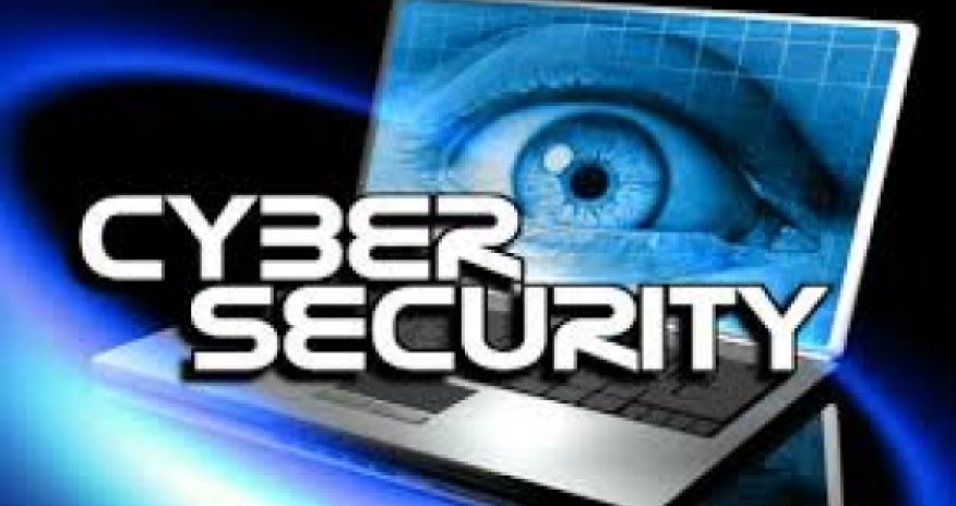 Azerbaijan, Georgia expand cooperation in cyber security