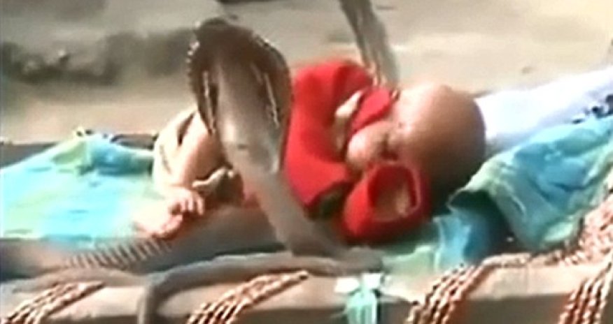 Baby sleeps soundly as he is protected by four COBRAS - PHOTO+VIDEO