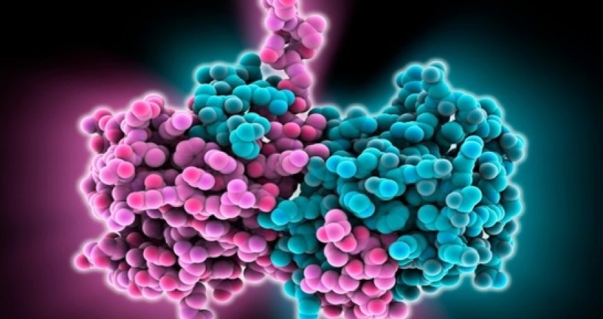 Why Ebola is so dangerous