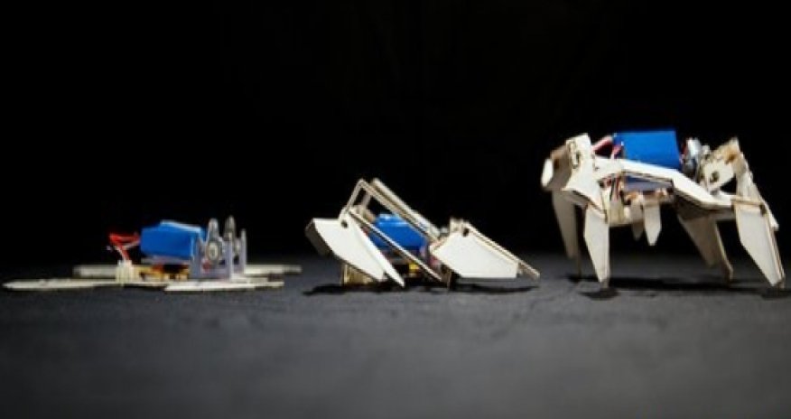 Robots inspired by origami fold themselves into motion