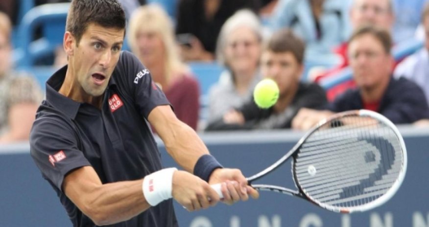 Djokovic pulls through in Cincinnati, Tsonga out
