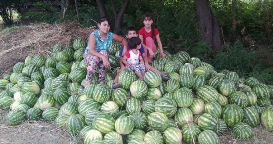Armenian girls selling watermelons in Azerbaijan's Zangilan - PHOTO