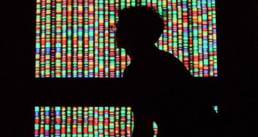 Success can be attributed to racial differences within genetics