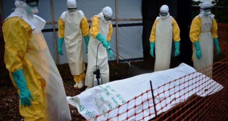 Ebola crisis vastly underestimated, says WHO