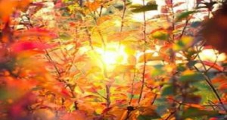 Baku weather forecast for August 20