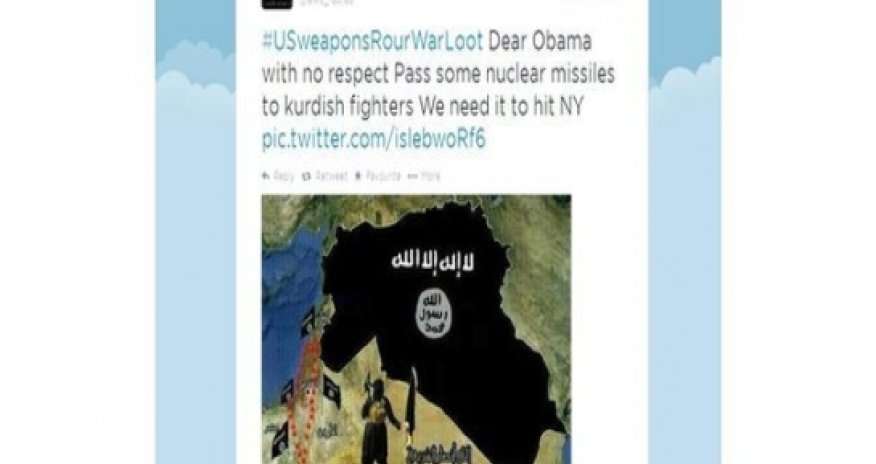 Diaspora social network cannot stop IS posts