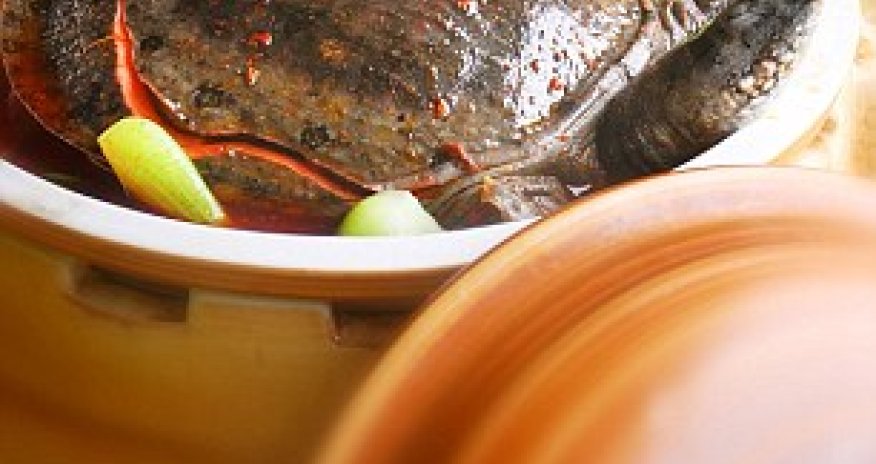 The most disgusting meal ever? - PHOTO+VIDEO