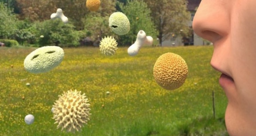 Scientists sniffing out the Western allergy epidemic