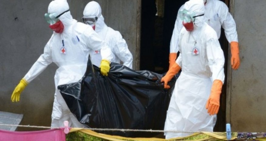 Ebola: How bad can it get?