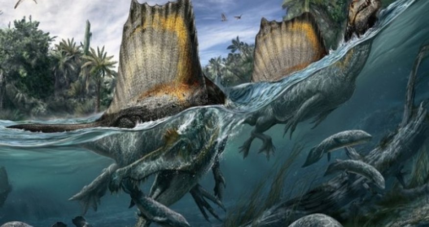 'Giant swimming dinosaur' unearthed