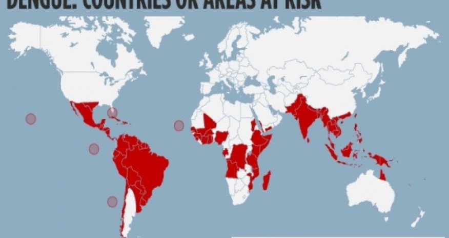Going abroad? Here are 10 diseases you need to watch out for