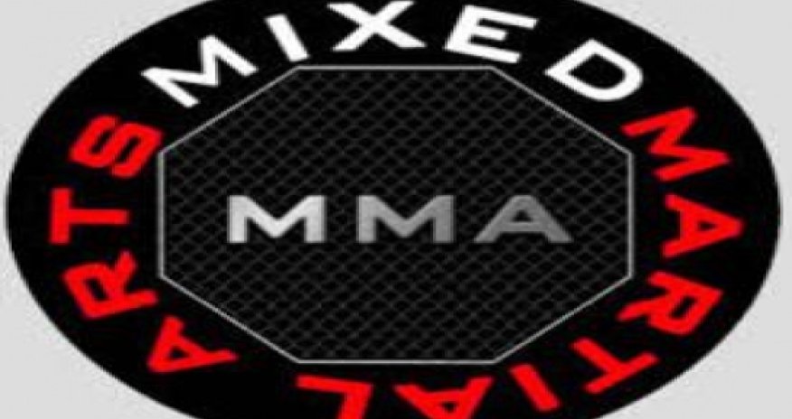 Azerbaijani fighter takes MMA world championship title