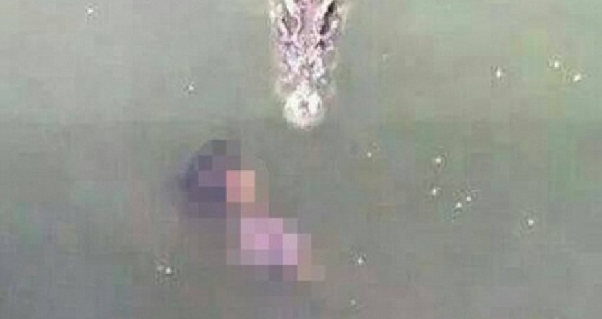 Suicide by crocodile pit - VIDEO