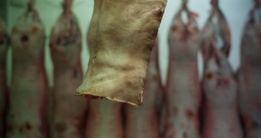 What does human meat taste like? - PHOTO