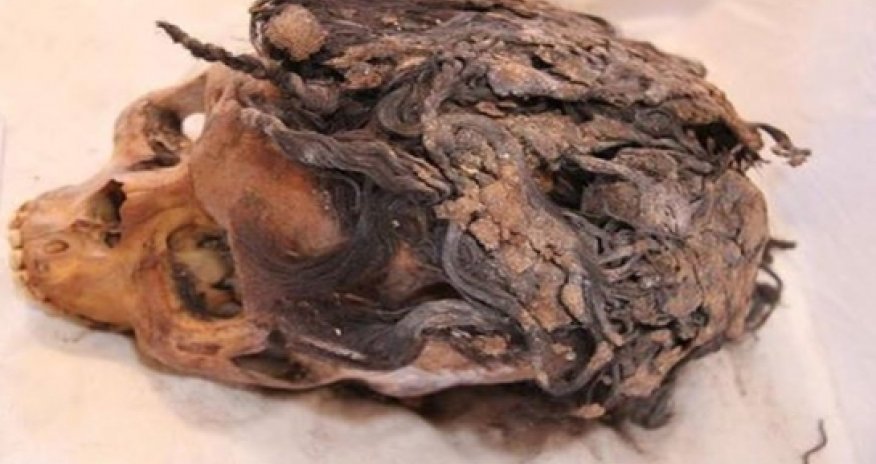 3,000-year-old ancient Egyptian woman with more than 70 hair extensions