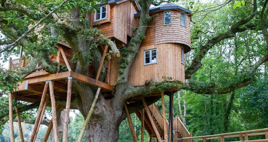 They're monkey mad - PHOTO