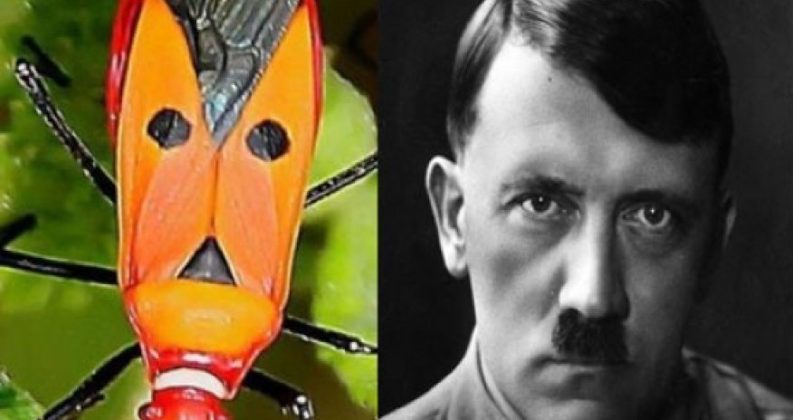 Hitlerin yeni bənzəri tapıldı - FOTOLAR