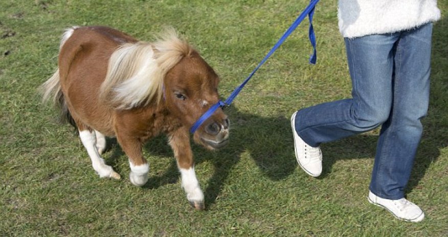 He's one of the family! - PHOTO+VIDEO