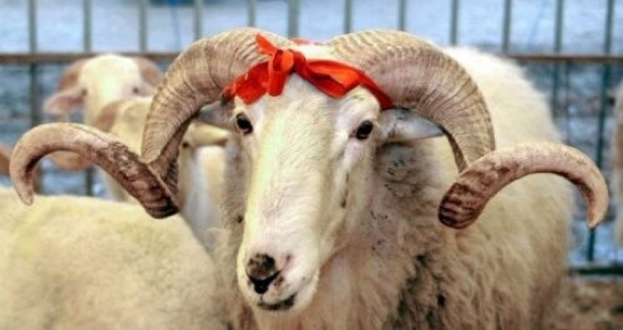 Azerbaijan celebrates Gurban holiday