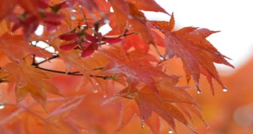 Azerbaijan weather forecast for Oct.5