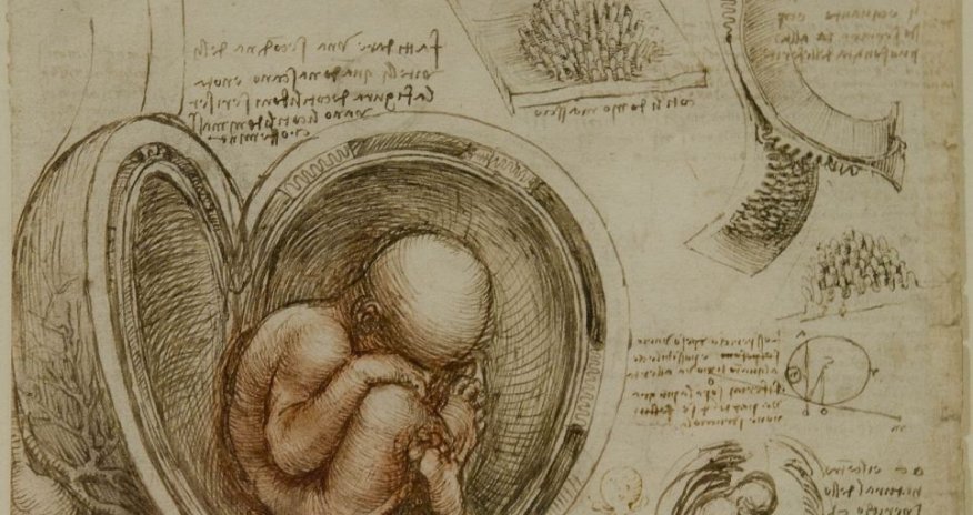Leonardo da Vinçinin tibbi rəsm əsərləri tapıldı - FOTOLAR