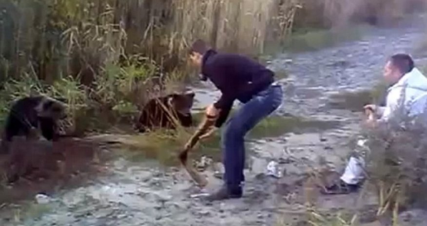 Russian brutally batters orphaned baby bear over the head with metal pipe - VIDEO