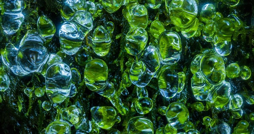 The spectacular images that celebrate the beauty of nature - PHOTO