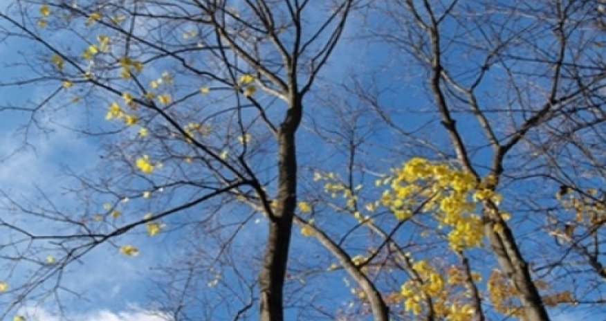 Azerbaijan weather forecast for Oct.16