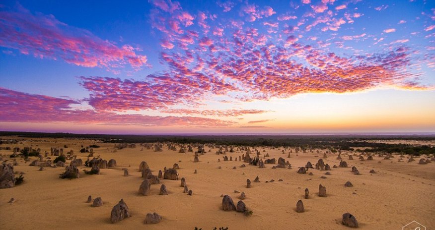 Newly-hatched turtles, starry nights and astonishing landscapes - PHOTO
