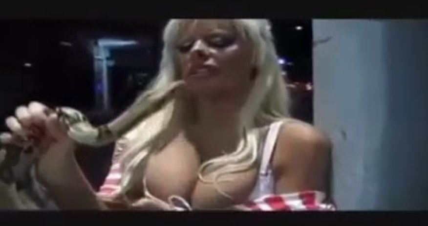 When Animals Attack - Funny Compilation - PHOTO+VIDEO