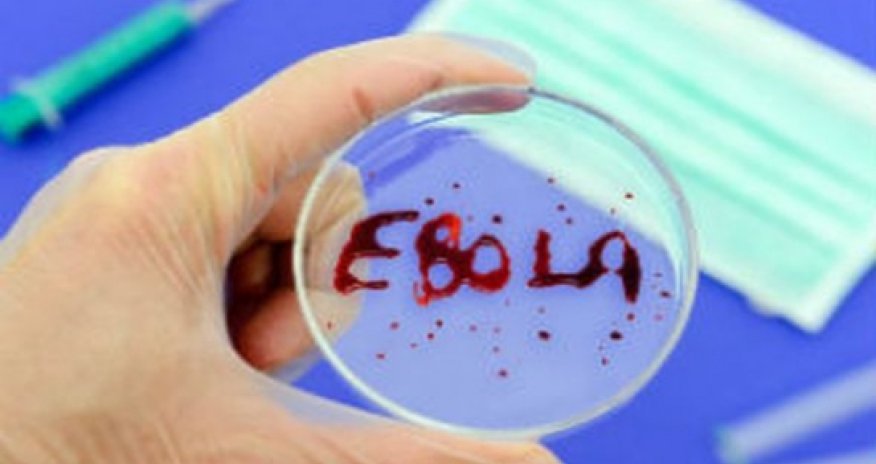 Ebola vaksini təcrübədən keçiriləcək