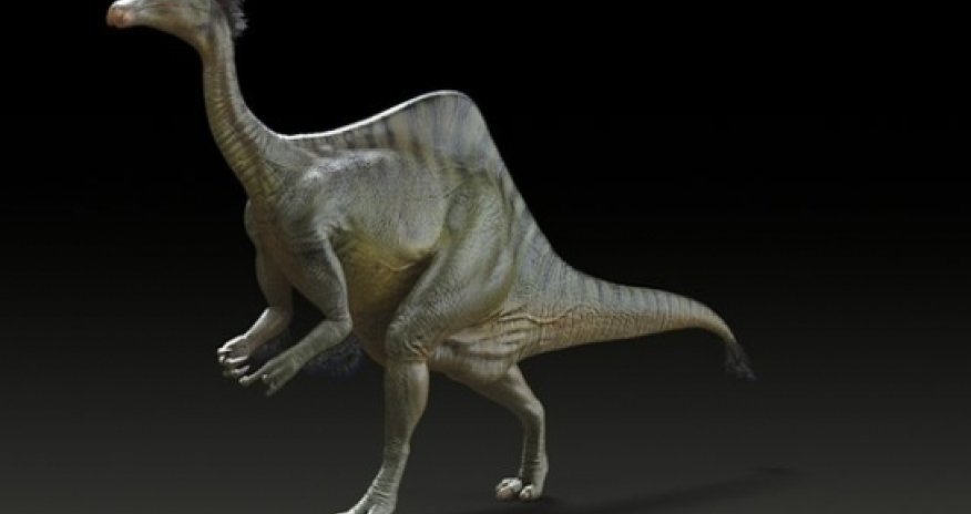 Mystery of dinosaur with giant arms solved