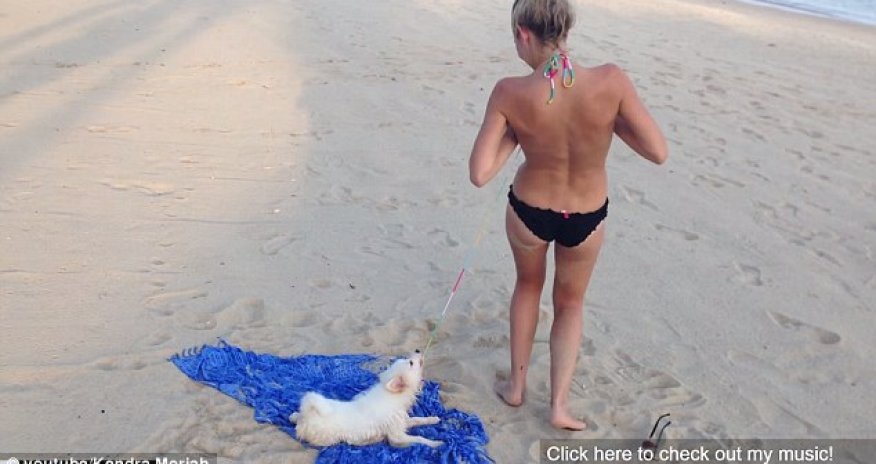 Puppy attempts to pull off girls bikini top - VIDEO