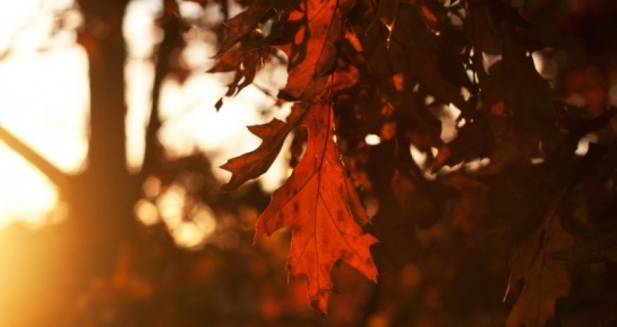 Какая погода ожидает нас сегодня?