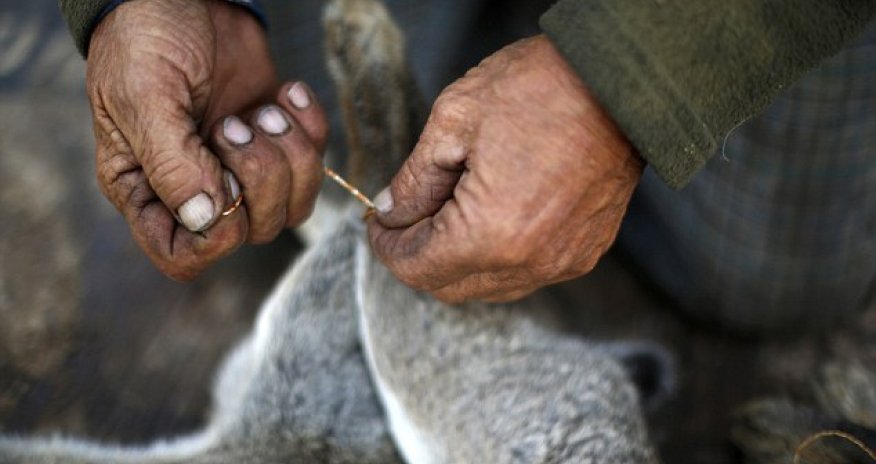 Teacher sparks outrage by killing and skinning a RABBIT in class - PHOTO