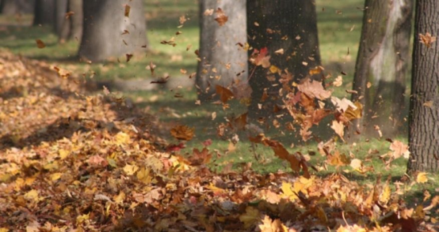 Baku weather forecast for Nov. 18