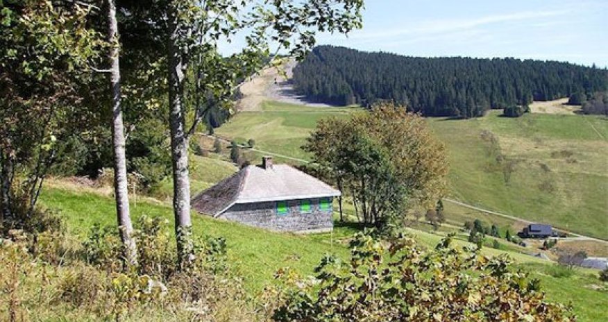 Dünyanın ən böyük filosofları: Martin Haydegger - E-kitab