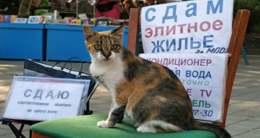 Во время падения курса рубля и стоимости нефти выгодно покупать недвижимость