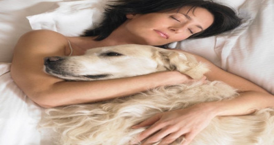 Animals Mating With Humans Funny - VIDEO