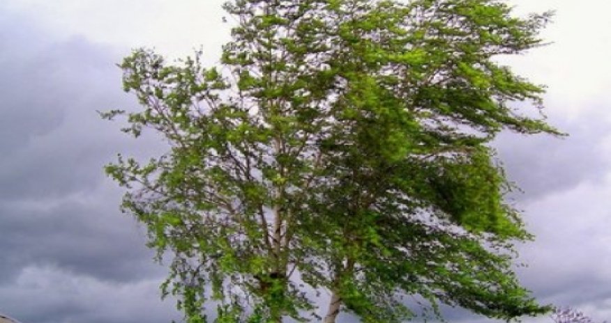 Dry weather expected in Azerbaijan