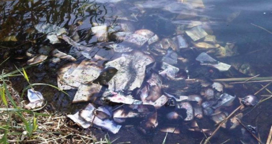 Over £60,000 worth of banknotes found floating down a river