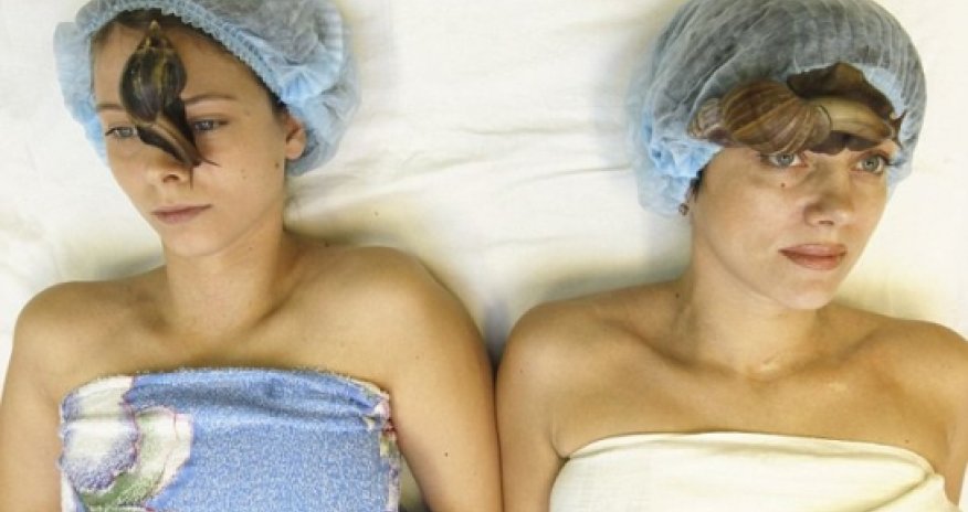 Is snail slime the next big thing in skincare?