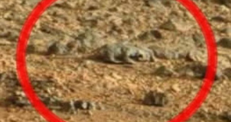 Photos hrom Mars that will make you believe in aliens - or rocks - PHOTO