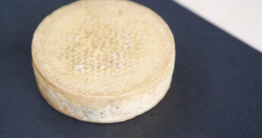 Would you eat cheese made from HUMAN FEET and ARMPITS?