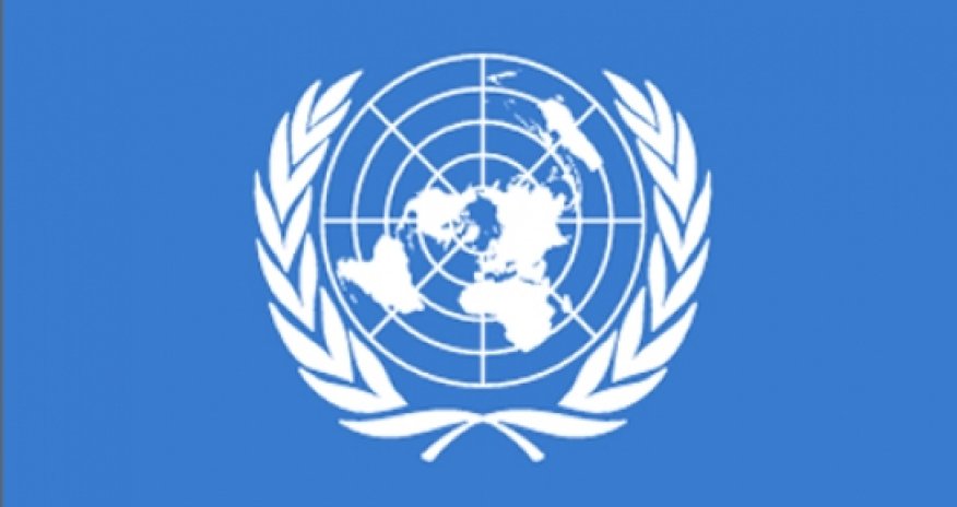 UN special rapporteur to visit Azerbaijan