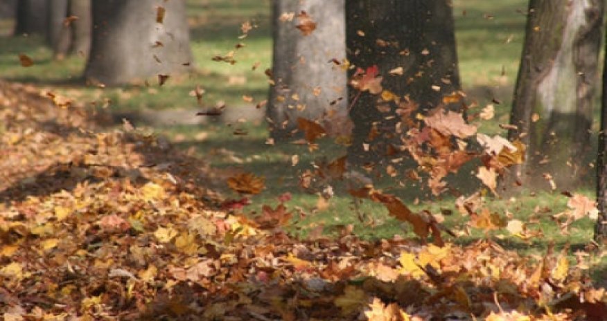 Warm weather expected in Azerbaijan