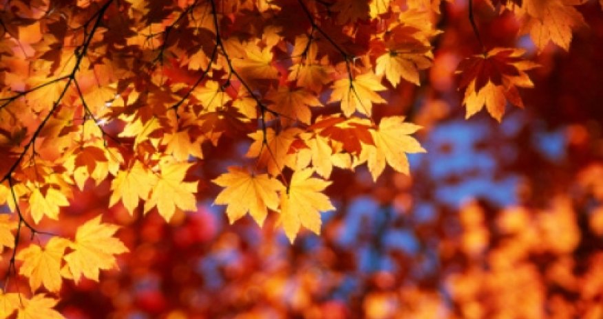 No rain forecast in Baku on Nov. 23