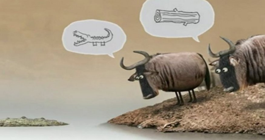 Crocodile or log? - FILM