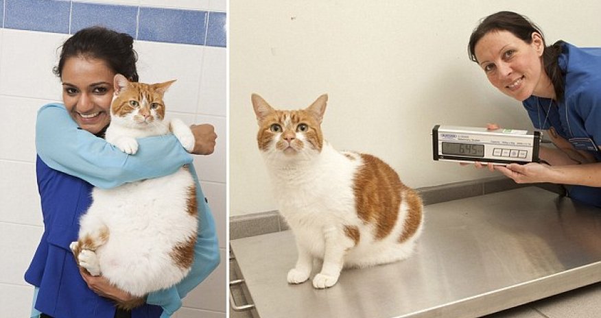 She’s no longer a portly pooch! - PHOTO